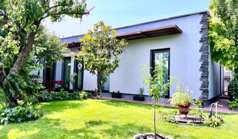 Sale Family house, Family house, Dolnomajerská, Senec, Slovakia