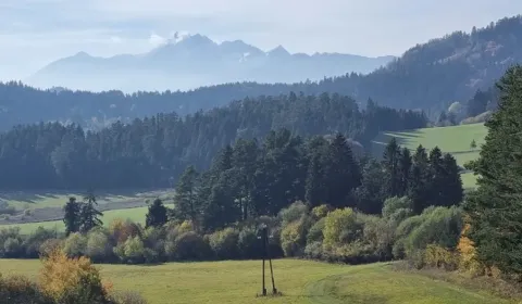 Sale Agrarian and forest land, Stará Ľubovňa, Slovakia