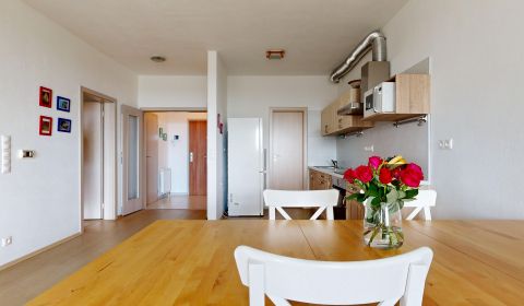 RIVERS Spacious sunny 1 bedroom apartment with parking Karlova Ves