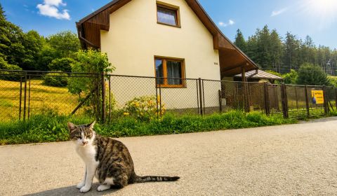 Sale Family house, Family house, Čierne, Čadca, Slovakia