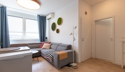 Bright 1-bedroom apartment with parking, Kramáre