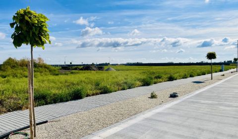 Sale Land – for living, Land – for living, neuvedená, Dunajská Streda,
