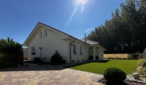 Sale Family house, Family house, Dunajská Streda, Slovakia