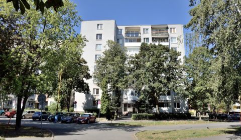 Sale Two bedroom apartment, Two bedroom apartment, Jána Švermu, Michal