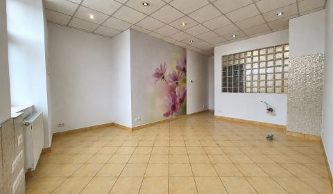 Rent Commercial premises, Commercial premises, Vysoká, Bratislava - St