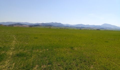 Sale Recreational land, Recreational land, Martin, Slovakia
