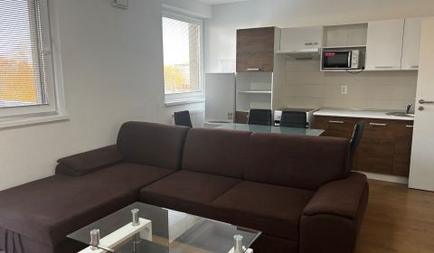 Rent One bedroom apartment, One bedroom apartment, Okružná, Pezinok, S