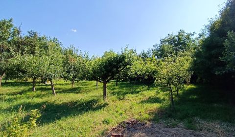 Sale Land – for living, Land – for living, Nitra, Slovakia