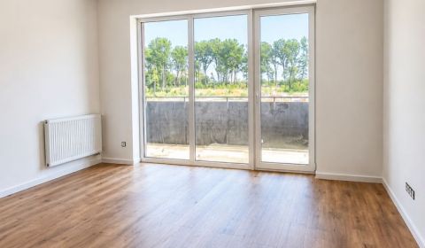 Sale One bedroom apartment, One bedroom apartment, Dunajská Streda, Sl