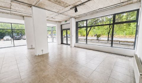Rent Commercial premises, Commercial premises, Bratislava - Ružinov, S