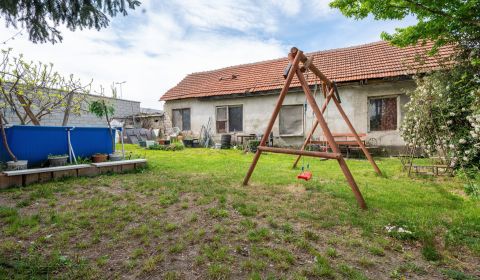 Sale Family house, Family house, Kováčska, Senec, Slovakia