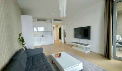 Rent One bedroom apartment, One bedroom apartment, Továrenská, Bratisl