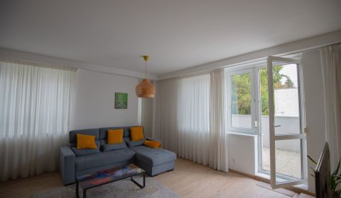 Spacious 3-bedroom apartment, Horský park