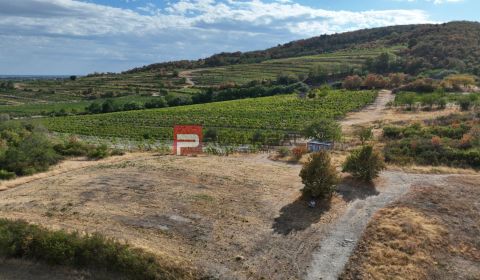 Sale Land – for living, Land – for living, Pezinok, Slovakia