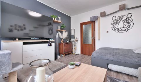 Sale One bedroom apartment, One bedroom apartment, Furdeka, Martin, Sl