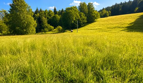Sale Land – for living, Land – for living, Kopanice, Čadca, Slovakia