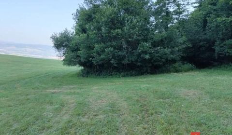 Sale Agrarian and forest land, Ilava, Slovakia