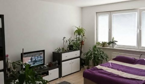 Rent One bedroom apartment, One bedroom apartment, Nové Zámky, Slovaki