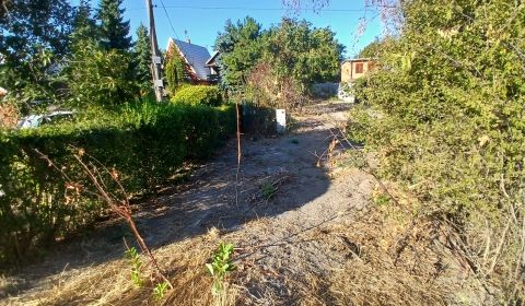 Sale Land – for living, Land – for living, Dunajská Streda, Slovakia