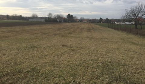 Sale Land – for living, Land – for living, Topoľčany, Slovakia