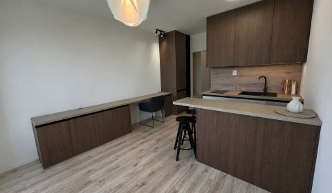 Sale Single studio, Single studio, Čaklovská, Bratislava - Ružinov, Sl