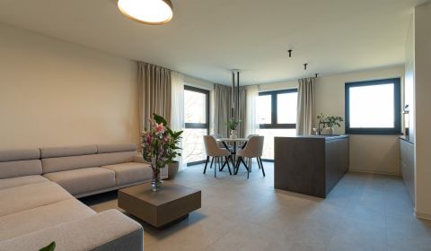 Rent Three bedroom apartment, Three bedroom apartment, Ďumbierska, Koš