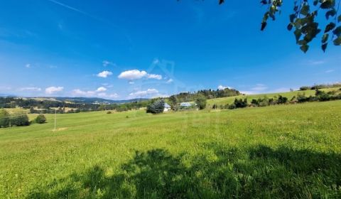 Sale Family house, Family house, Detva, Slovakia
