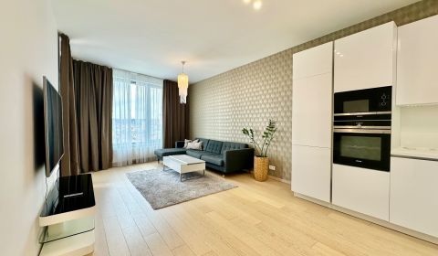 Rent One bedroom apartment, One bedroom apartment, Továrenská, Bratisl