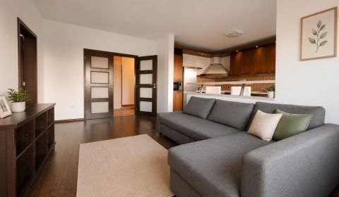 Rent One bedroom apartment, One bedroom apartment, M. R. Štefánika, Se