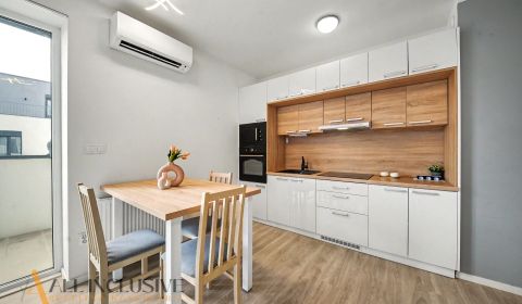 Rent One bedroom apartment, One bedroom apartment, Karola Duchoňa, Gal