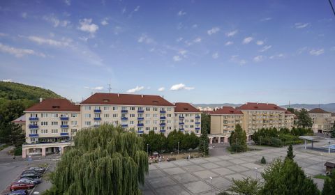 Sale One bedroom apartment, One bedroom apartment, Sad kpt. Nálepku, I