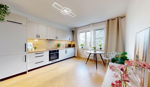 BA/Wider Center -Rent of a complet renovated 3-room apartment