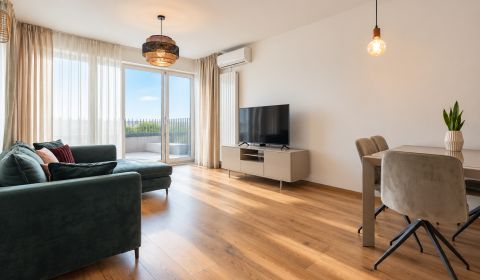 Spacious 1-bedroom apartment with terrace, Koliba