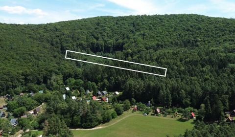 Sale Agrarian and forest land, Agrarian and forest land, Medzihorie, I