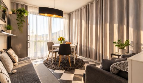 Modern apartment with French balcony, Nové Mesto
