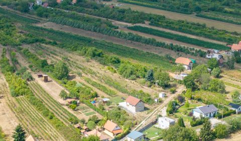 Sale Vineyards, Vineyards, Horný Ohaj, Nitra, Slovakia