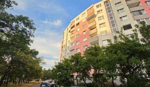 Sale Three bedroom apartment, Three bedroom apartment, Furdekova, Brat