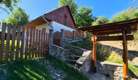 Sale Family house, Family house, Ilava, Slovakia