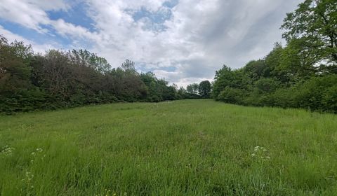 Sale Land – for living, Land – for living, Hlavná, Vranov nad Topľou, 