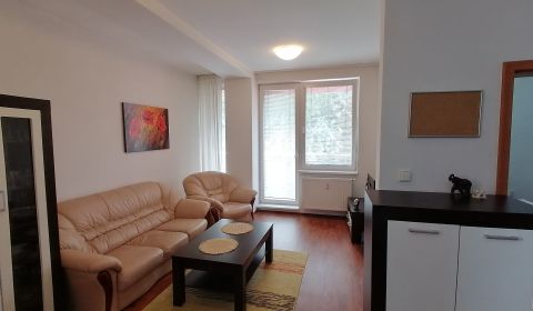Rent One bedroom apartment, One bedroom apartment, Nábrežná, Martin, S