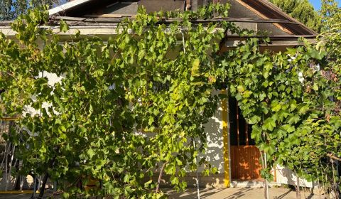 Sale Cottage, Cottage, Piešťany, Slovakia