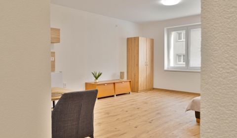 Rent Single studio, Single studio, Študentská, Zvolen, Slovakia
