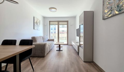 Rent One bedroom apartment, One bedroom apartment, Mlynské nivy, Brati