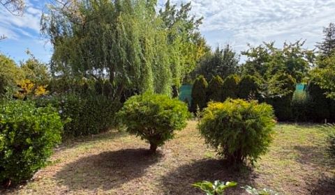 Sale Gardens, Gardens, Komárno, Slovakia