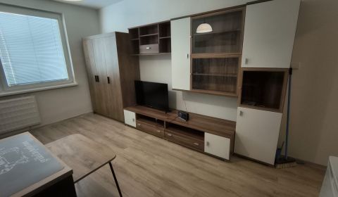 Rent Single studio, Single studio, 1 mája, Pezinok, Slovakia