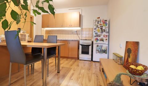 Sale One bedroom apartment, One bedroom apartment, Pribinove sady, Ila