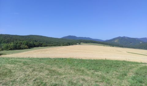 Sale Recreational land, Recreational land, Martin, Slovakia