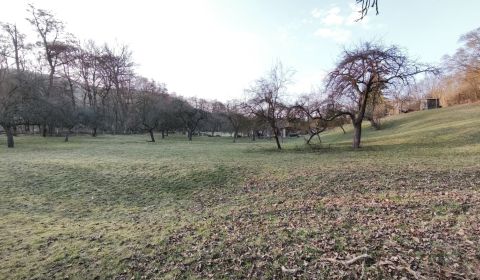 Sale Land – for living, Land – for living, A.H. Škultétyho, Veľký Krtí