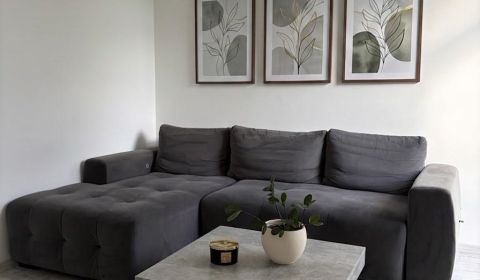 Rent One bedroom apartment, One bedroom apartment, Komenského, Nové Zá