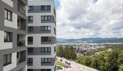 Sale One bedroom apartment, One bedroom apartment, Saratovská, Trenčín